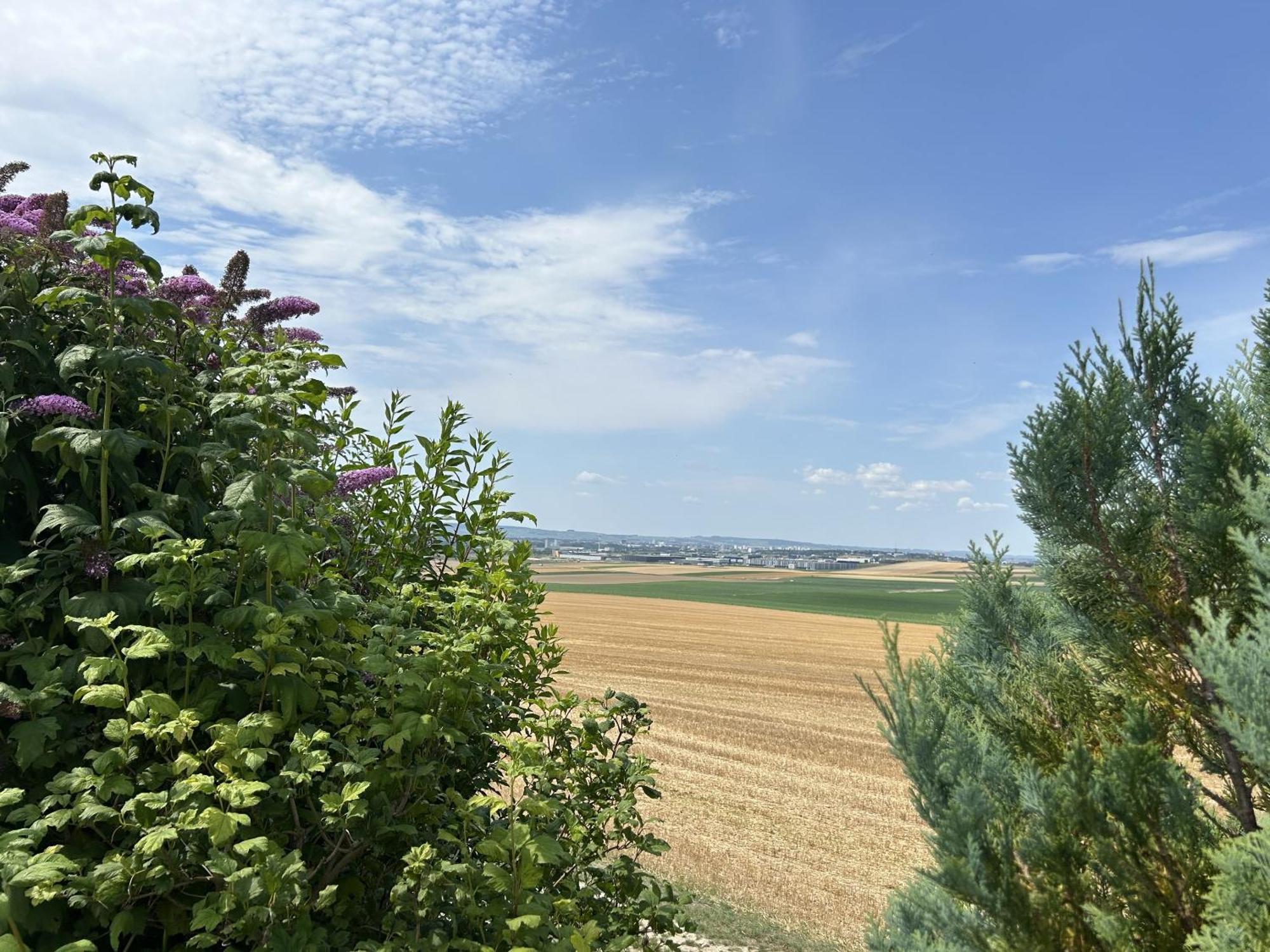 Le Charme Villa Cernay-les-Reims Exterior photo
